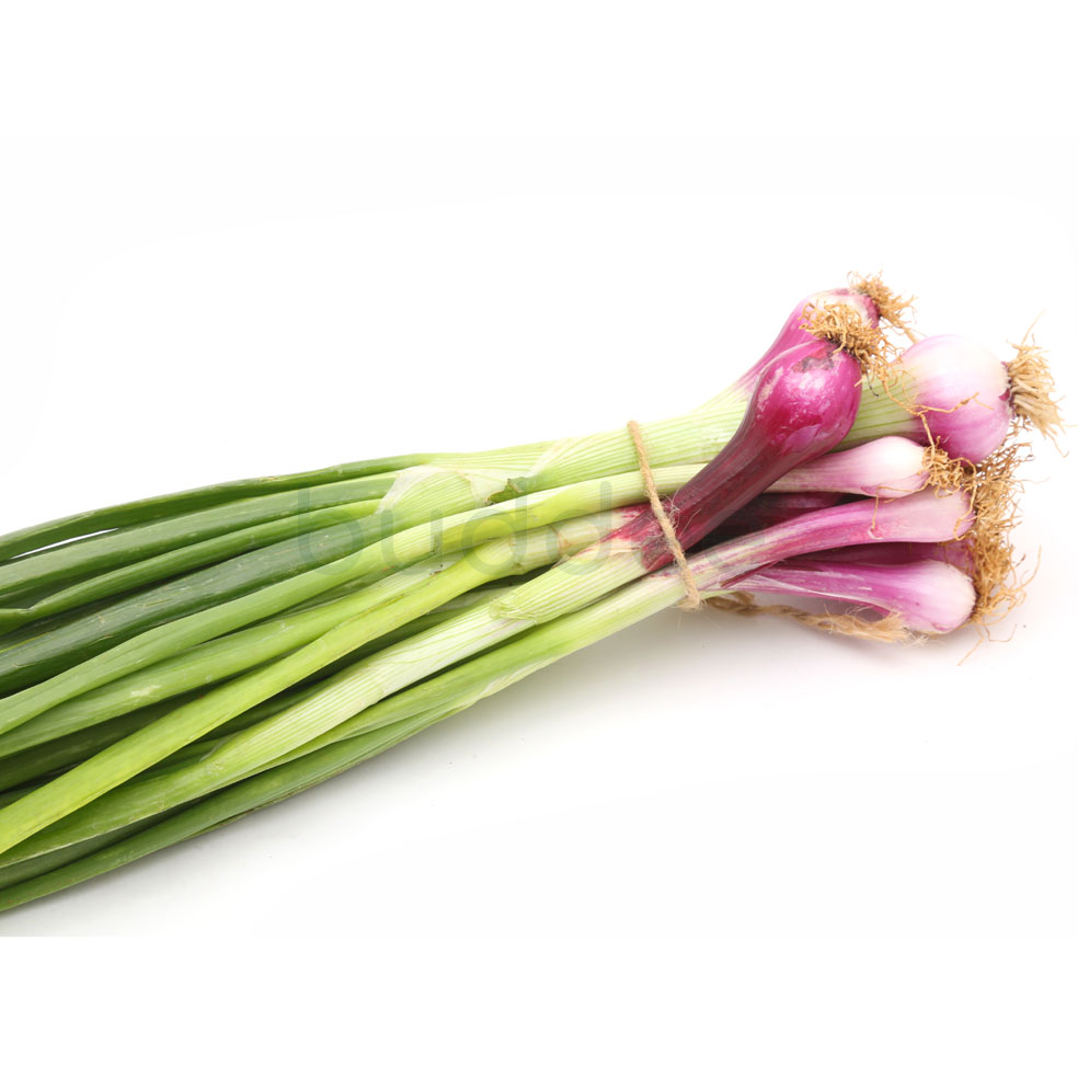 Leafy Vegetables